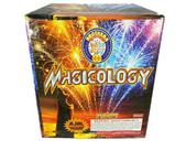 MAGICOLOGY 21 SHOT CAKE